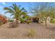 Spacious backyard showcasing desert landscaping, palm trees, patio, and pool at 5940 E Taunus Cir, Mesa, AZ 85215