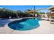 Backyard swimming pool surrounded by desert landscaping and a clear blue sky at 7365 W Via Del Sol Dr, Glendale, AZ 85310