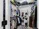 Walk-in closet featuring shelving and rod storage, with a shoe rack and carpeted floor at 7952 E Teton Cir, Mesa, AZ 85207