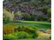 Lush green golf course view in a desert landscape at 7952 E Teton Cir, Mesa, AZ 85207