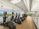 Brightly lit gym with treadmills and elliptical machines offering a view of the outdoors at 8506 W Trenton Ct, Florence, AZ 85132