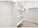 Spacious walk-in closet with built in shelving and room for storage at 8555 W Trenton Ct, Florence, AZ 85132