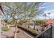 Neighborhood street view in a desert landscape featuring mature trees, manicured hedges, and paver driveway at 11628 S Warcloud Ct, Phoenix, AZ 85044