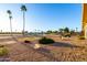 Backyard view of the golf course, palm trees, and blue sky at 12539 W Paintbrush Dr, Sun City West, AZ 85375