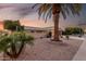 Single-story home with desert landscape, brick wall and tropical palm trees at 12539 W Paintbrush Dr, Sun City West, AZ 85375