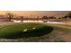 Close-up of the golf course putting green at 12539 W Paintbrush Dr, Sun City West, AZ 85375