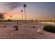 Scenic view of a golf course with palm trees and a tranquil pond at sunset at 12539 W Paintbrush Dr, Sun City West, AZ 85375