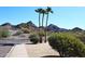 Street view featuring desert landscaping and majestic mountains in the background. Tall palm trees accent the curb appeal at 1920 E Manzanita Dr, Phoenix, AZ 85020