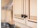 Detailed shot of kitchen cabinets featuring dark hardware and intricate trim and lots of storage at 22020 N San Ramon Dr, Sun City West, AZ 85375