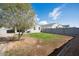 Backyard with grass, gravel, a fence, and a tree at 30747 W Indianola Ave, Buckeye, AZ 85396