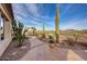 Stone-paved backyard featuring desert landscape, mature cacti and a private pool and spa at 41413 N Club Pointe Dr, Anthem, AZ 85086