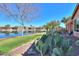 Backyard view overlooking serene lake, lush grass, native desert landscaping, and neighboring houses at 42432 W North Star Dr, Maricopa, AZ 85138