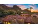 Aerial view of a backyard pool and desert landscape at sunset at 5567 E Mcdonald Dr, Paradise Valley, AZ 85253