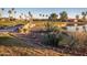 Picturesque desert landscaping with mature cacti and bridge over serene pond in a golf community at 6177 S Sawgrass Dr, Chandler, AZ 85249