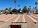 Community shuffleboard court surrounded by native vegetation and beautiful palm trees under the bright blue sky at 624 Hawk Eye Dr, Apache Junction, AZ 85119