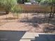 Small gravel backyard enclosed by a decorative fence, providing a private outdoor space at 1317 E Cobb Dr, Tempe, AZ 85288