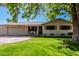Charming single-story house with a well-manicured lawn and mature shade tree at 1649 E Dana Ave, Mesa, AZ 85204