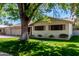 Well maintained house with lawn and mature trees at 1649 E Dana Ave, Mesa, AZ 85204