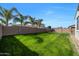 Large grassy backyard with palm trees along the block fence and lush green lawn at 20159 E Rosa Rd, Queen Creek, AZ 85142