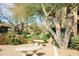 Beautiful walkway with desert landscaping and mature trees at 21320 N 56Th St # 1085, Phoenix, AZ 85054