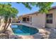 Inviting backyard featuring a sparkling pool, lush palm tree and covered patio area at 22722 N 120Th Ln, Sun City, AZ 85373