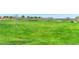 A lush, green lawn is dotted with shade trees with mountain views in the distance at 22722 N 120Th Ln, Sun City, AZ 85373