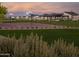 Community basketball court amid lush green lawn and neighborhood homes in the background at 3307 W Storm Cloud St, San Tan Valley, AZ 85144