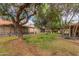 Large backyard featuring grass, desert landscaping, and mature shade trees at 54 Leisure World --, Mesa, AZ 85206
