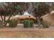Backyard featuring a covered patio area with lush green landscaping and mature trees at 54 Leisure World --, Mesa, AZ 85206
