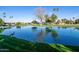 Picturesque community pond featuring calm water, lush greenery, and local wildlife, offering a tranquil retreat at 54 Leisure World --, Mesa, AZ 85206