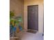 Exterior condo entrance with a dark-colored door, potted plant, and neutral paint at 7009 E Acoma Dr # 1113, Scottsdale, AZ 85254