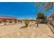 Large backyard with various plants and greenery at 1015 N 193Rd Ave, Buckeye, AZ 85326