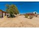 View of the backyard featuring mature tree, outbuilding, and space for RV or boat parking at 1015 N 193Rd Ave, Buckeye, AZ 85326