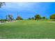 Beautiful golf course view with lush green grass and mature trees on a sunny day at 10609 W Concho Cir, Sun City, AZ 85373