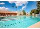 Large outdoor swimming pool with lane markers, lounge chairs, and palm trees on a sunny day at 10609 W Concho Cir, Sun City, AZ 85373