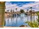 Scenic view of a tranquil lake with a cascading waterfall feature surrounded by desert landscaping and palm trees at 16416 W Rock Springs Ln, Surprise, AZ 85374