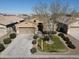 Beautifully landscaped front yard with lush lawn, a mature tree, and a two-car garage at 1658 W Paisley Dr, San Tan Valley, AZ 85144