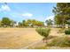 Desert landscaped community with various trees, green grass, and blue skies at 17553 N Thornberry Dr, Surprise, AZ 85374