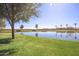 Scenic pond in the community with lush green grass and mature trees creating a peaceful environment at 35771 W Costa Blanca Dr, Maricopa, AZ 85138