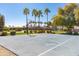 Community basketball court, surrounded by trees and well-manicured landscaping, perfect for recreation at 3937 E Norcroft Cir, Mesa, AZ 85215