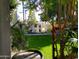 Serene backyard showcasing lush green lawn, mature trees, and inviting seating beneath a striped umbrella at 5205 N 8Th Pl, Phoenix, AZ 85014