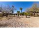 Expansive backyard featuring mature trees and a refreshing swimming pool at 7102 E Larkspur Dr, Scottsdale, AZ 85254