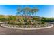 Landscaped roundabout featuring native desert plants and trees at 1115 E Mcneil St, Phoenix, AZ 85042