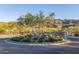 Landscaped roundabout featuring native desert plants and trees at 1115 E Mcneil St, Phoenix, AZ 85042