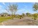 Scenic street view showcasing native plants, gravel walking path, and community homes at 1115 E Mcneil St, Phoenix, AZ 85042