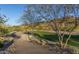 Scenic community walking path winding through desert landscape and next to a greenbelt at 1115 E Mcneil St, Phoenix, AZ 85042