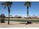 View of the community golf course featuring beautiful palm trees and well-maintained landscaping under a clear blue sky at 14432 W Robertson Dr, Sun City West, AZ 85375