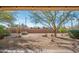 Lush desert landscaping with native plants, rock features, and a privacy wall creating a serene outdoor space at 16949 W Oasis Springs Way, Surprise, AZ 85387