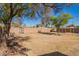 Fully fenced backyard with shade trees and mature landscaping at 1716 W Weldon Ave, Phoenix, AZ 85015