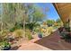 Serene backyard featuring beautiful desert landscaping, vibrant plants, and a cozy seating area for relaxation at 318 E Concorda Dr, Tempe, AZ 85282